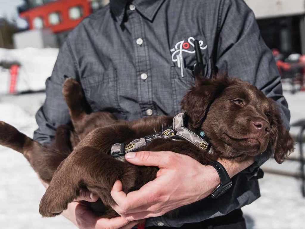 A Josie hotel worker holding a puppy.