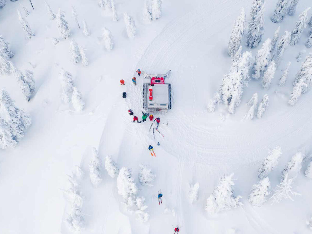 group of skier cat skiing